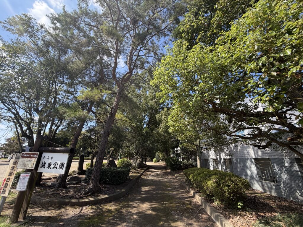 城東公園の木陰を通る散策路